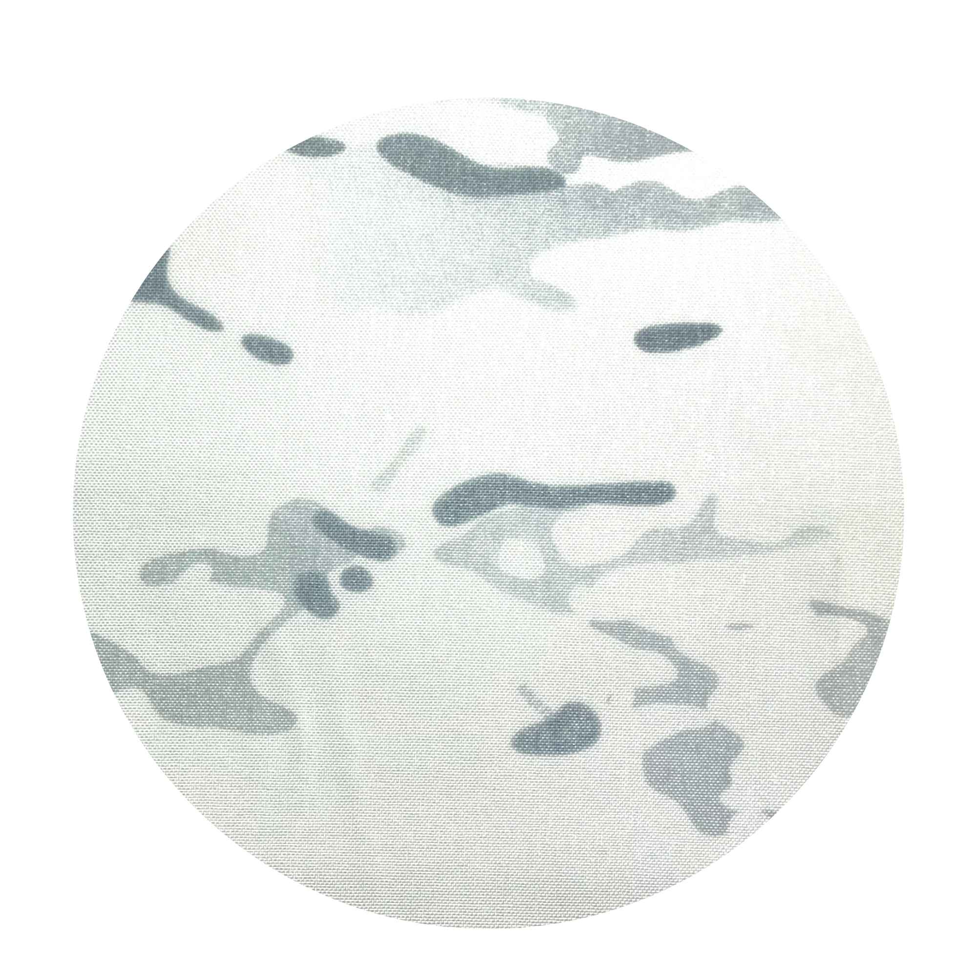 500D Cordura® - MultiCam® - Full Roll - Image 5