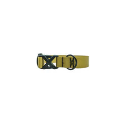 Dog Accessory Bundle - Image 2