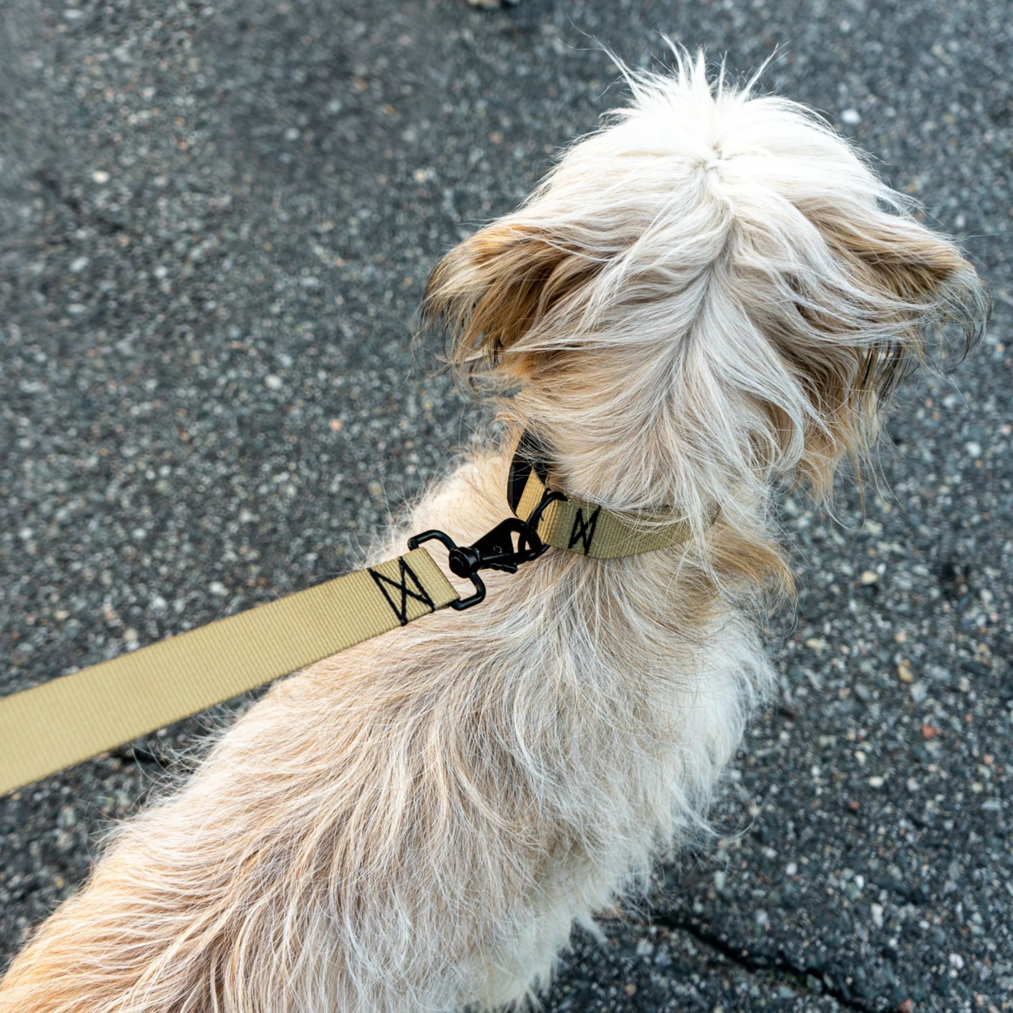Dog Leash Kit - Image 9
