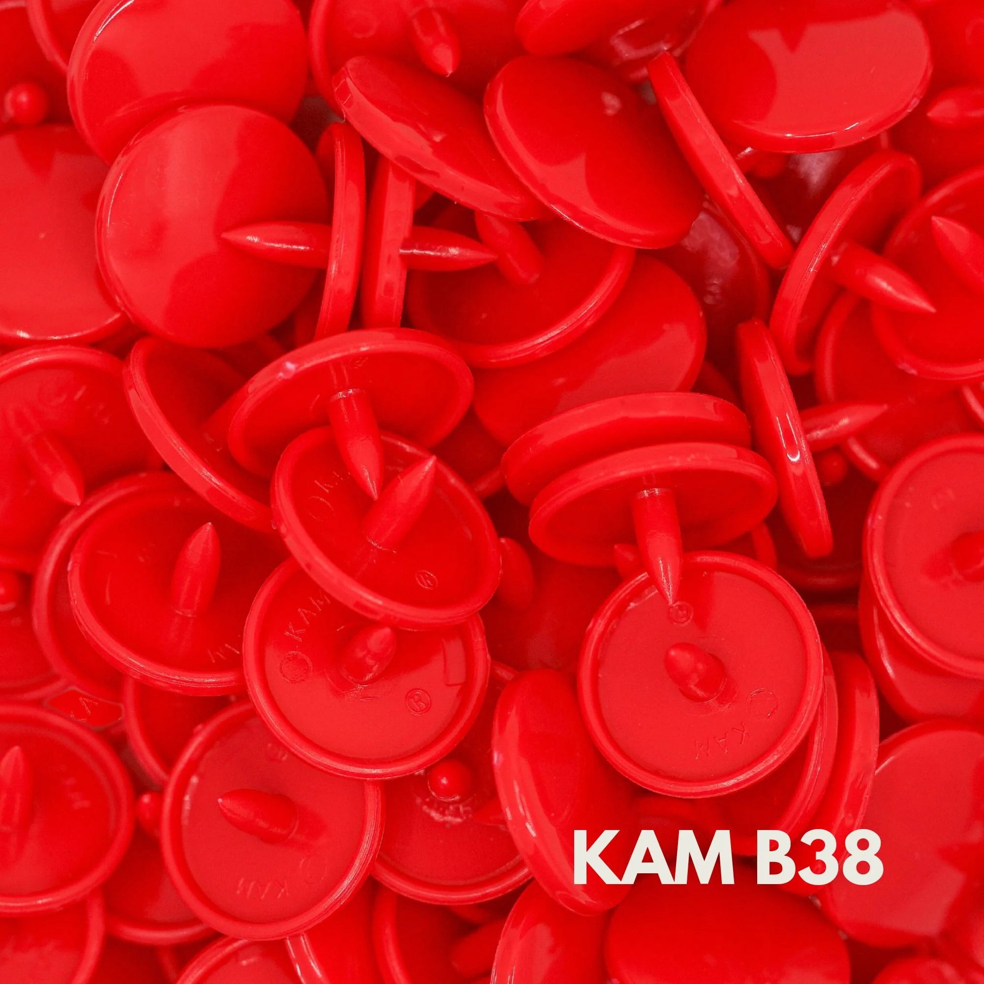 KAM Snaps - Image 6