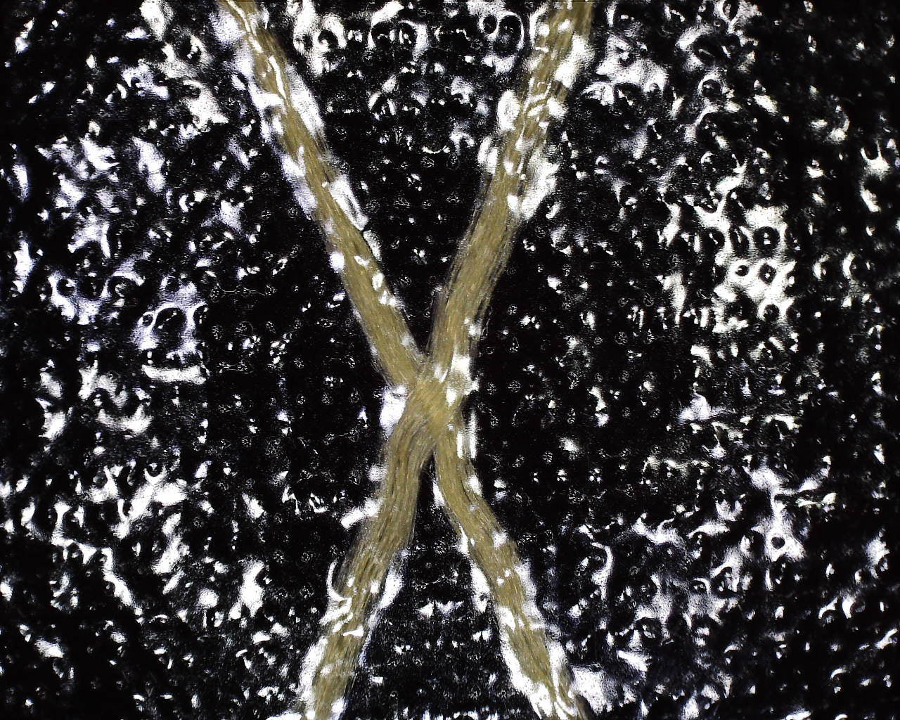X-Pac® X50 Tactical - Full Roll - Image 7